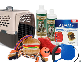 Pet Store,pet stores near me,pet store near me,pet supply stores,exotic pet store